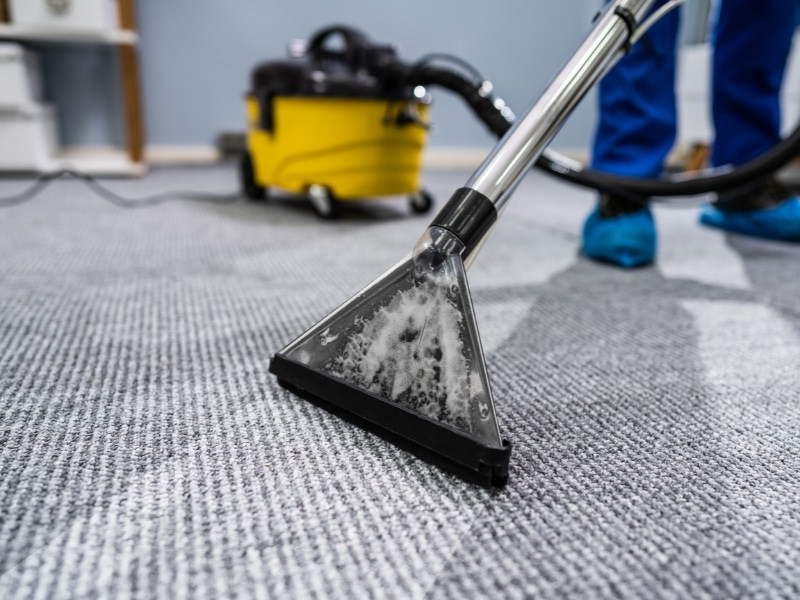 A close-up of carpet cleaning in progress, highlighting the importance of carpet cleaning for a healthy home.
