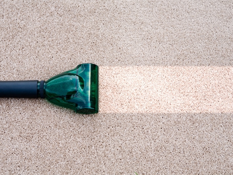 Vacuum head showing clean path after cleaning carpet stairs in bright lighting