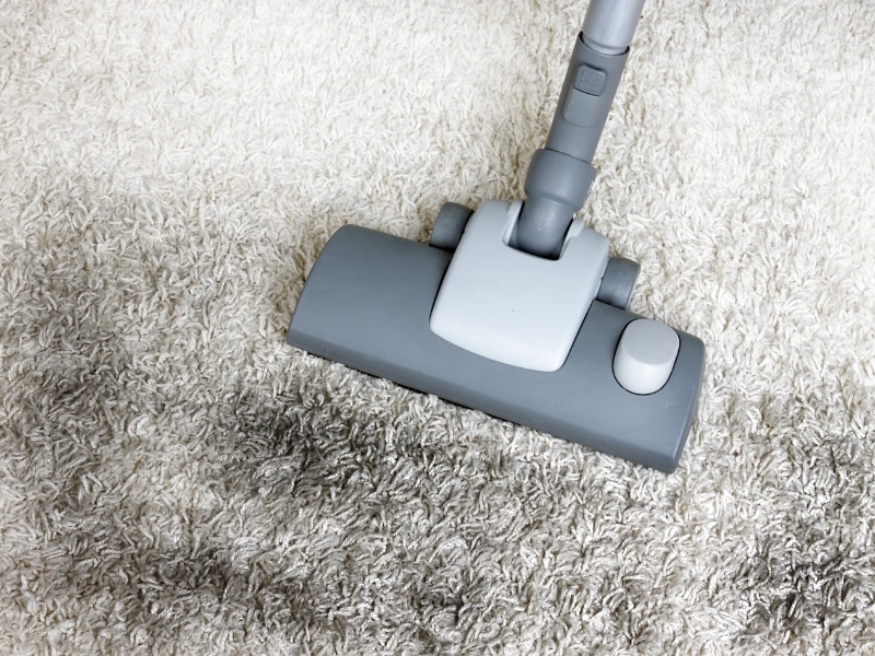 Vacuum head cleaning dirty carpet with visible black stains on white pile