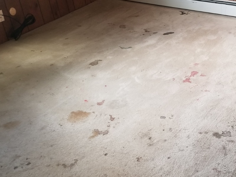 Dirty carpet with stains needing NDIS carpet cleaning to prevent indoor air quality issues.